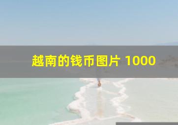 越南的钱币图片 1000